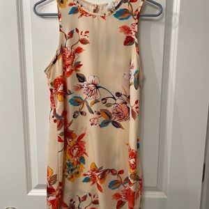 Boutique floral dress petite